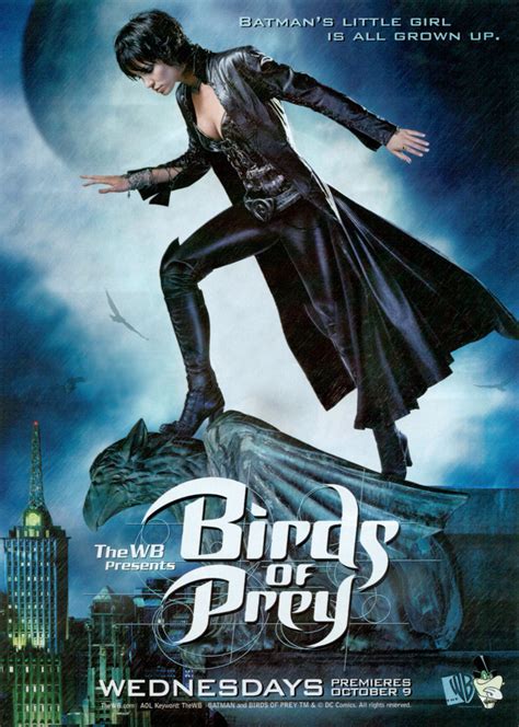 Birds of Prey : Extra Large TV Poster Image - IMP Awards