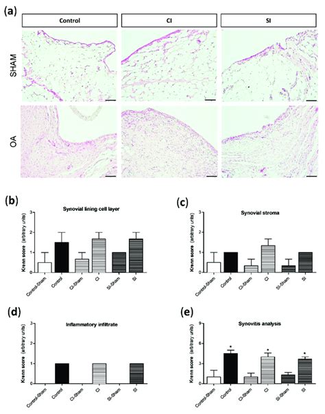 Histological analysis of synovial tissue. Pathological responses in the ...