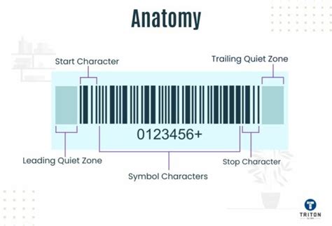 Understanding Codabar Barcodes: A Comprehensive Guide