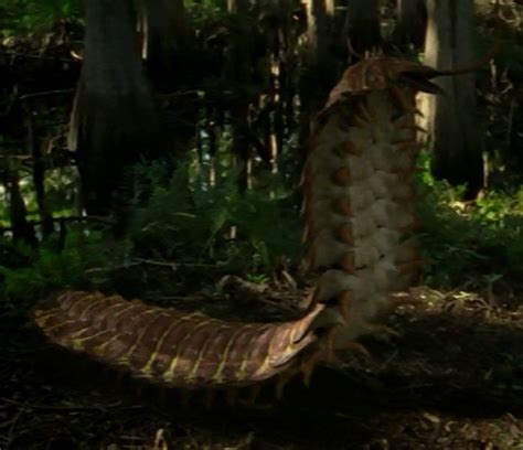 Arthropleura | Prehistoric Park Wiki | Fandom