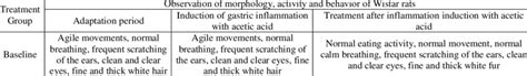 Morphological observations and activities of Wistar rats | Download ...