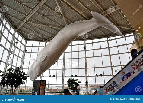 Sperm Whale Sculpture In Water Park Resort. Editorial Image ...