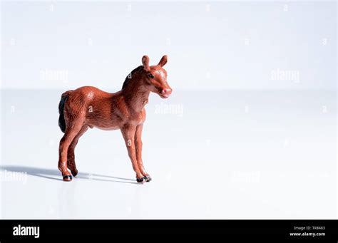 Vintage plastic horse toy figure Stock Photo - Alamy