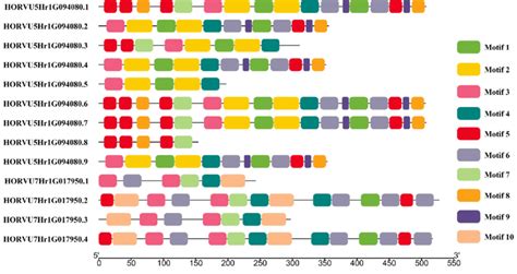 Conserved protein motif for these two candidate genes. The motifs ...