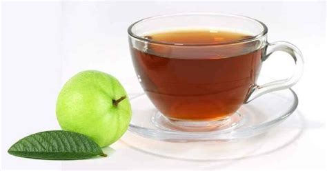 Incredible Benefits Of Guava Leaf Tea | Pragativadi | Odisha News ...