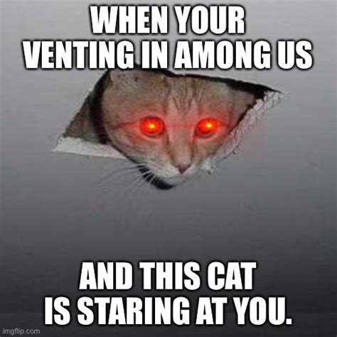 Ceiling Cat Meme Generator | Shelly Lighting