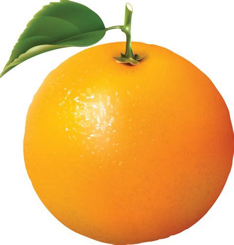 Orange | Oranges PNG Image - PurePNG | Free transparent CC0 PNG Image ...