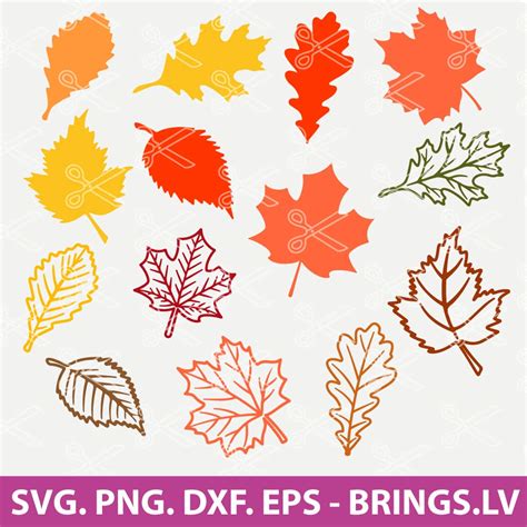 Fall Leaf SVG, Fall Leaf SVG Bundle, Fall Leaves SVG, Fall SVG, Fall ...