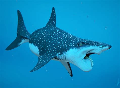 Helicoprion_Shark_by_DirkWachsmuth_h1600 - Circular Ocean