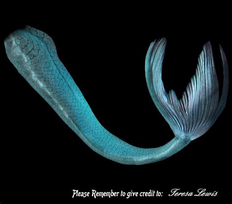 My First Mermaid Tail by resalewisfreelance on DeviantArt | Realistic ...