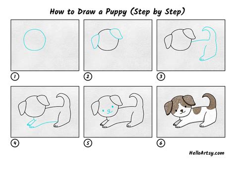 Tipikus csökkentő Söprés cute dog drawing step by step Tiszteletreméltó ...