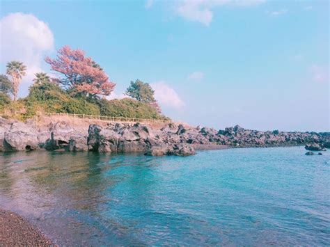 Premium Photo | The beautiful scenery of jeju island