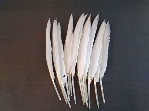 Category: Goose feathers natural and dyed – Jaffe