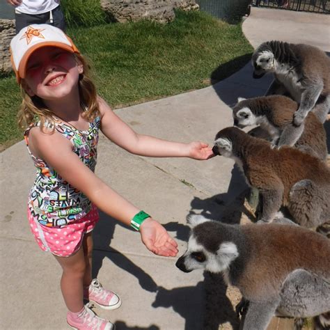 Zoo Near Me: A Quick Guide to the Best Zoos in Your City