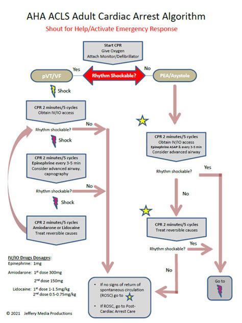 Asystole and its treatment | ACLS-Algorithms.com