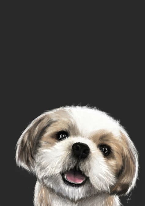 Dog Digital Illustrations on Behance