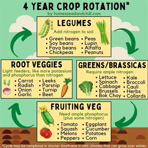 How to Practice Crop Rotation (Garden Benefits Explained) | Edible ...