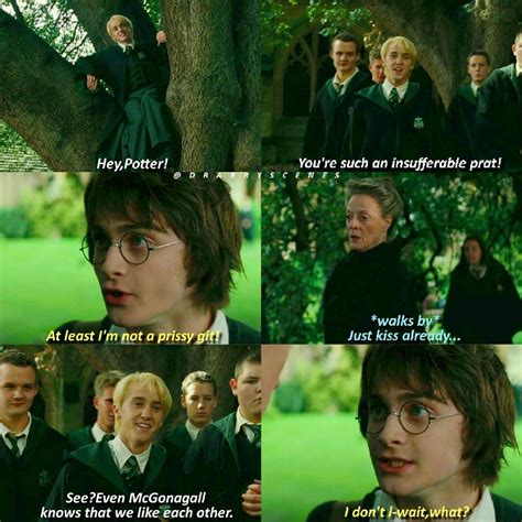 Drarry this is why McGonnagal is my second fav character | Harry potter ...