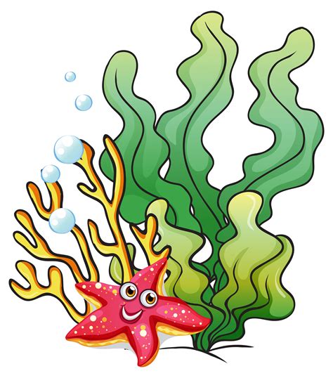 Arrecifes de coral con una estrella de mar sonriente 526064 Vector en ...