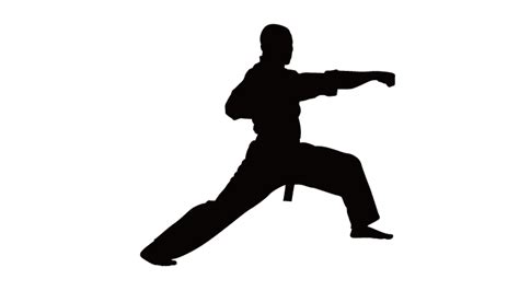 Martial arts Karate Silhouette Clip art - Taekwondo silhouette figures ...