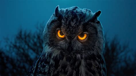 1920x1080 Owl Glowing Eyes Laptop Full HD 1080P ,HD 4k Wallpapers ...