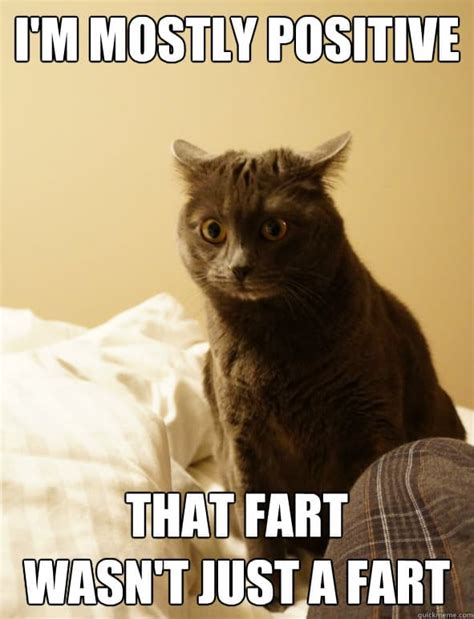 35 Fart Memes That Will Make You Stop and Laugh - SayingImages.com