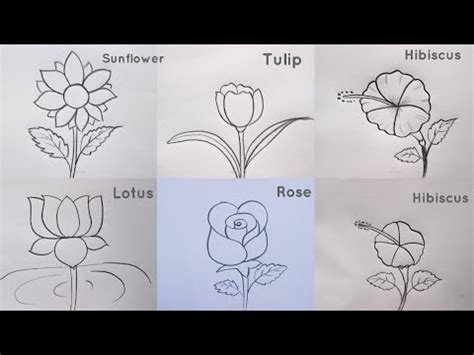 how to draw different types of flowers drawing easy step by step@Kids ...