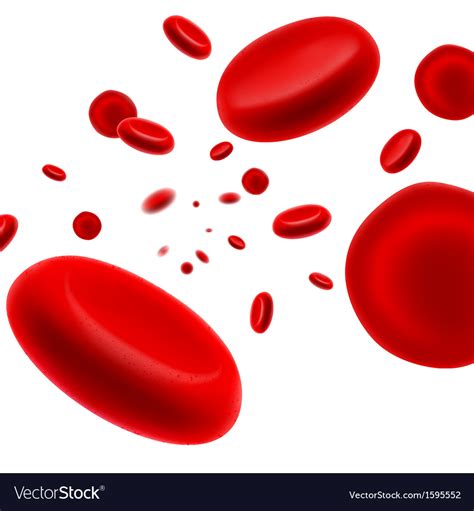 Flowing red blood cell Royalty Free Vector Image