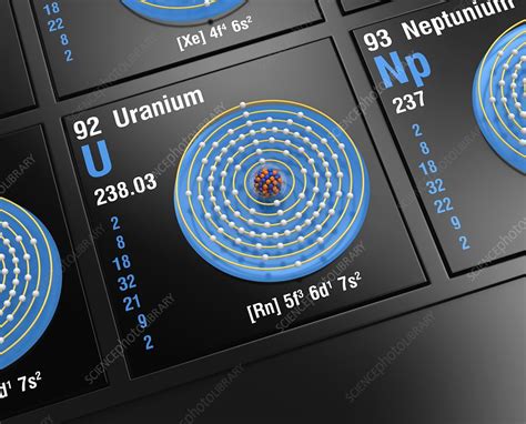 Uranium, atomic structure - Stock Image - C045/6440 - Science Photo Library