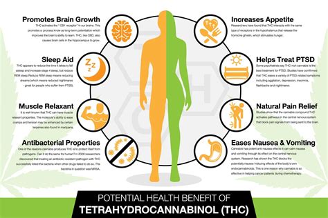 What are the Effects of Weed? | XpressGrass