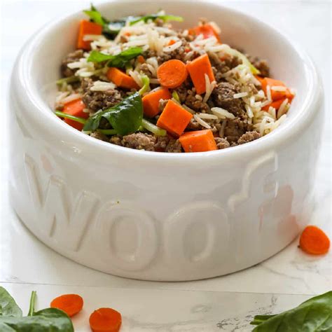 Dog Food Recipes For Toy Poodles | Wow Blog