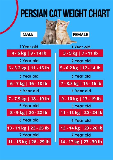 Cat Weight Chart By Age & Height In Kg, Ibs ⚖