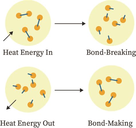 Bond Dissociation Energy | bartleby