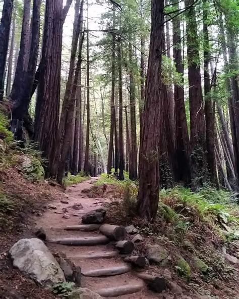 THE 8 BEST Hikes in Big Sur – Must See Hiking Trails