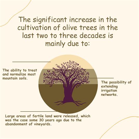 How does the olive tree react to less or no fertilization? - AgriSC ...