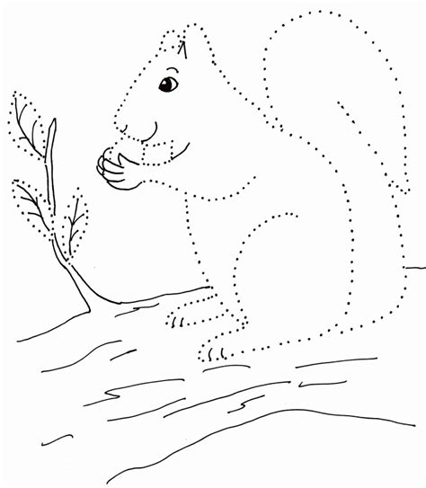 Dot Drawing - Squirrel - Samantha Bell