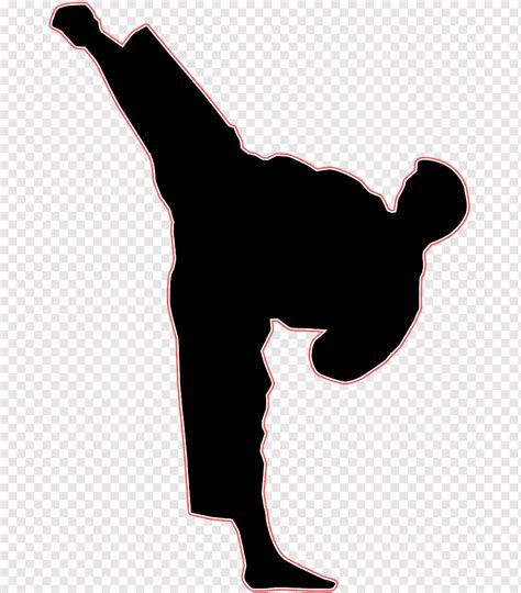 Taekwondo Kick Silhouette