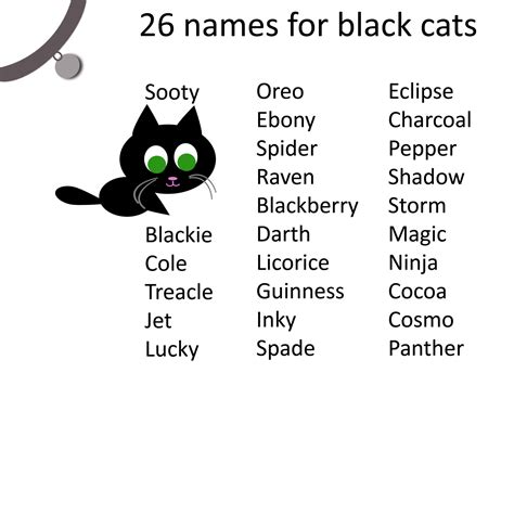 a black cat with green eyes and name tags on it's back side, in front ...