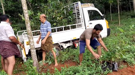 Afforestation Project by Plantaddict. - YouTube