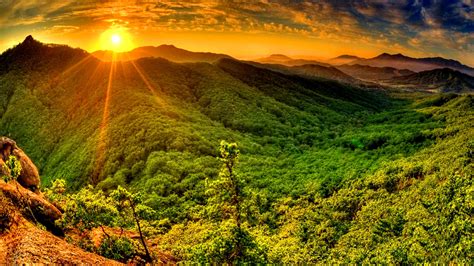 Download Nature Sunbeam HD Wallpaper