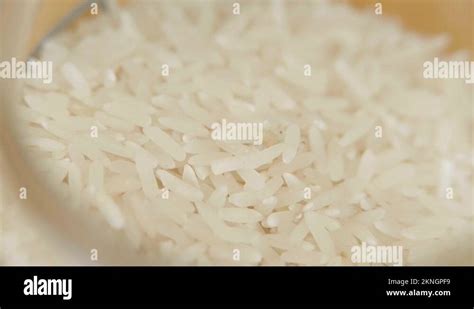 Home for larvae Stock Videos & Footage - HD and 4K Video Clips - Alamy