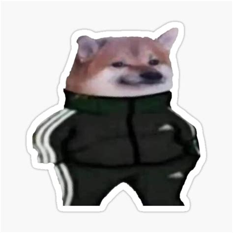 Gopnik Doge | ubicaciondepersonas.cdmx.gob.mx