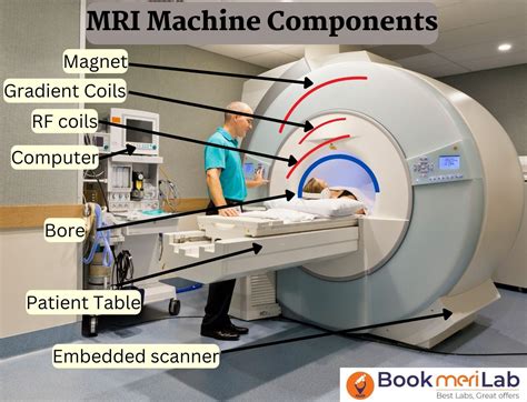 MRI Defecography: Price, Purpose, Procedure & Results [2024]