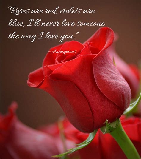 Romantic Rose Quotes - 20 Best Rose Love Quotes with Images