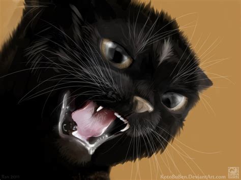 Angry Cat Drawing at GetDrawings | Free download