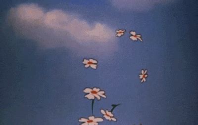 Anime Aesthetic Butterfly Gif - gif