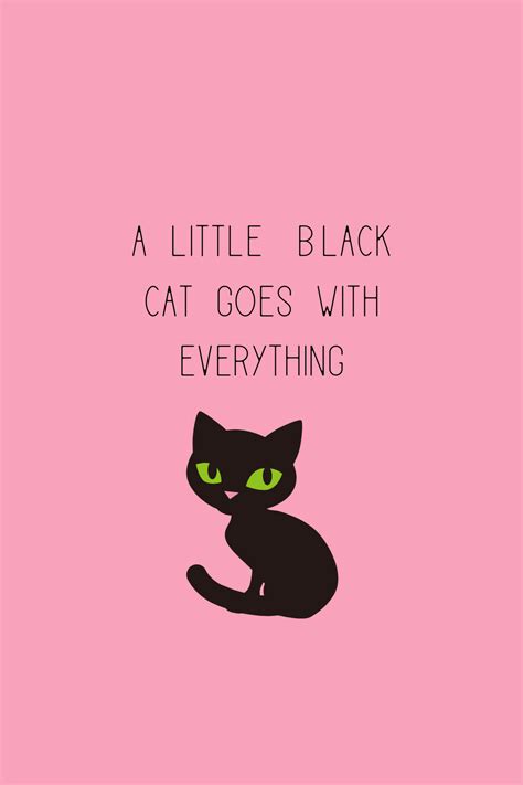 Black cat quotes – Artofit