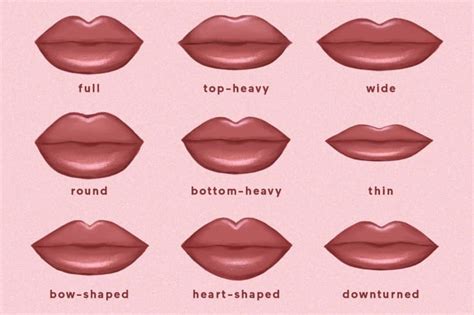 9 Common Lip Shapes & How To Enhance Each With Makeup