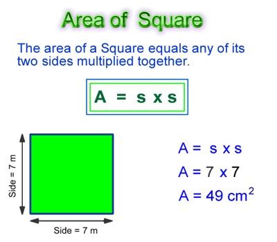 How to find the Area of a Square? - Assignment Point