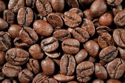 11 Best Coffee Beans in The World - Reviews & Top Picks 2023 | Coffee ...